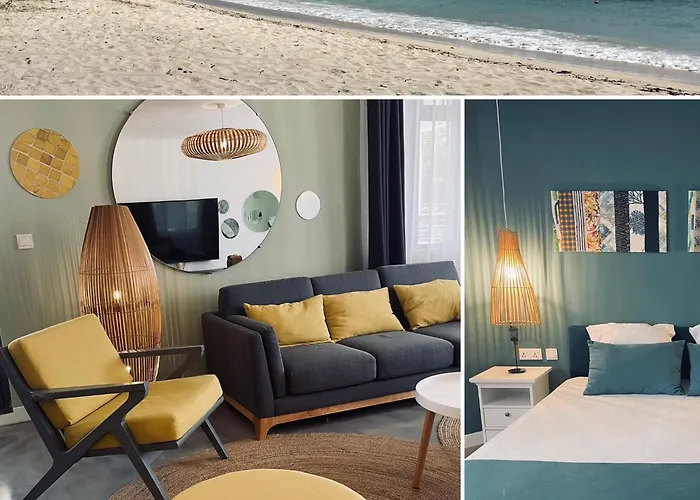 Premium Beach Apartment Avec Grande Terrasse Privee Les Cerisiers