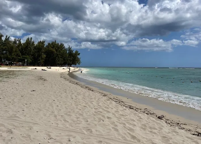 Premium Beach Apartment Avec Grande Terrasse Privee Les Cerisiers